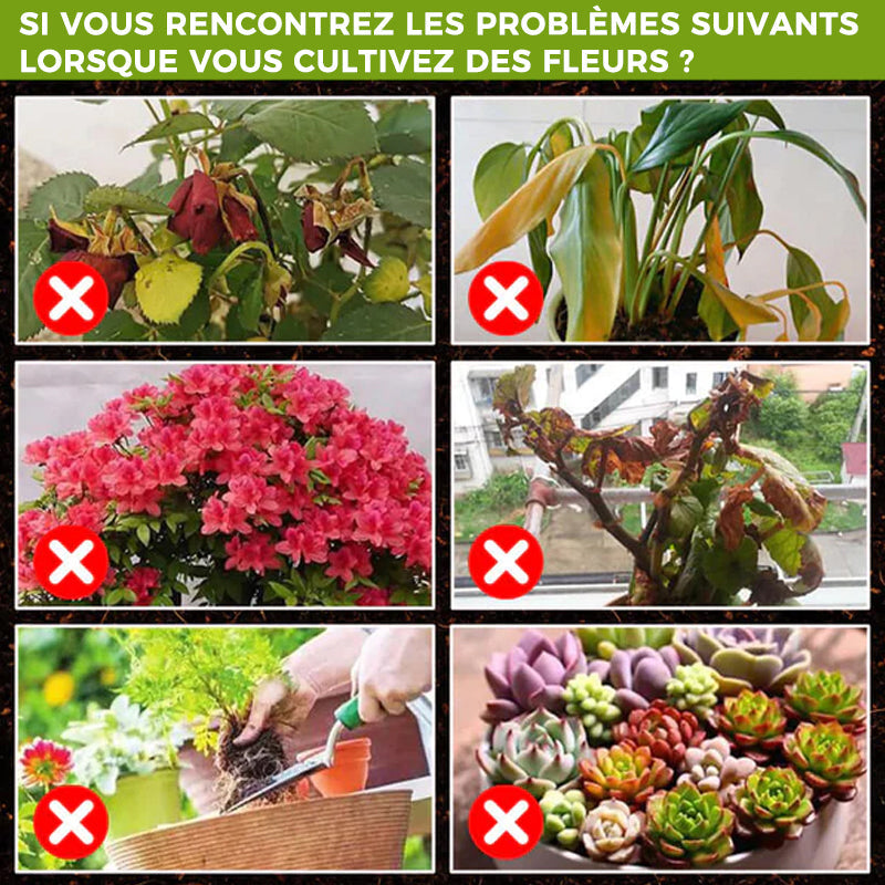 Suppléments promoteurs de croissance des plantes