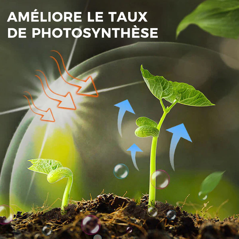 Suppléments promoteurs de croissance des plantes