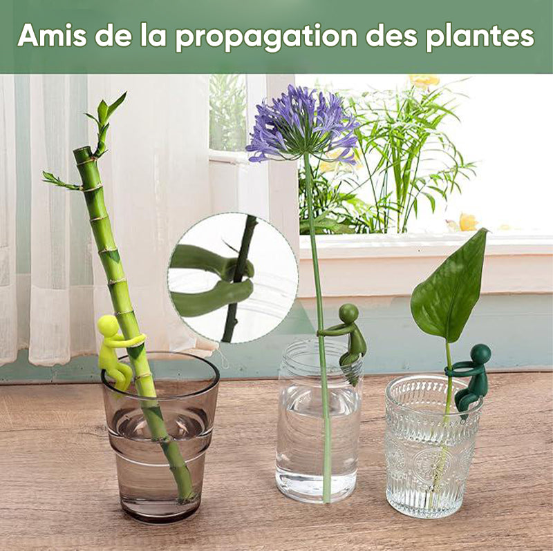 Ami de la propagation des plantes