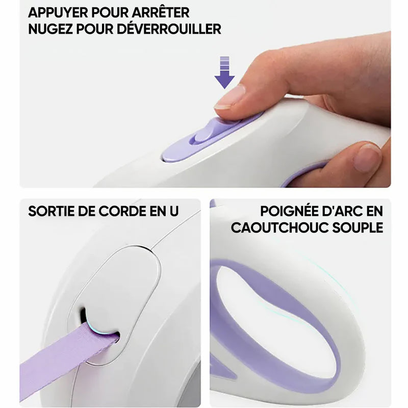 Laisse lumineuse pour chien