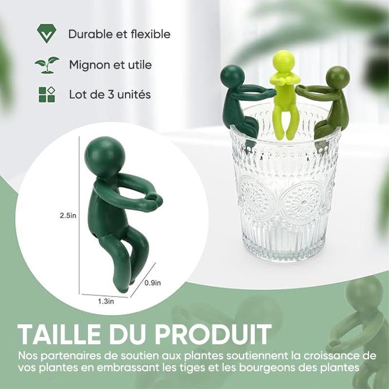 Ami de la propagation des plantes