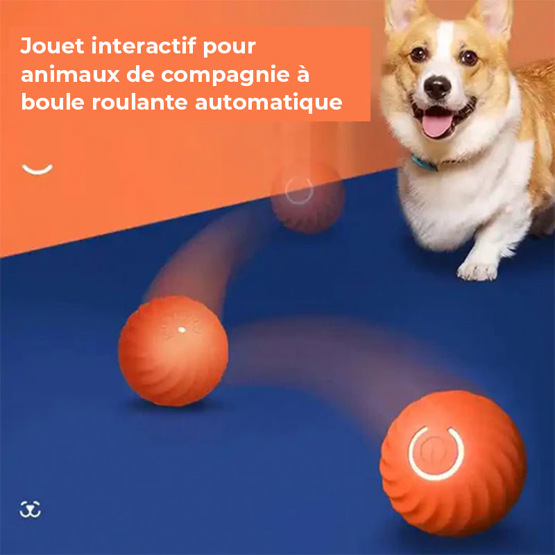 Balle automatique intelligente pour chien qui ne peut pas être mordue