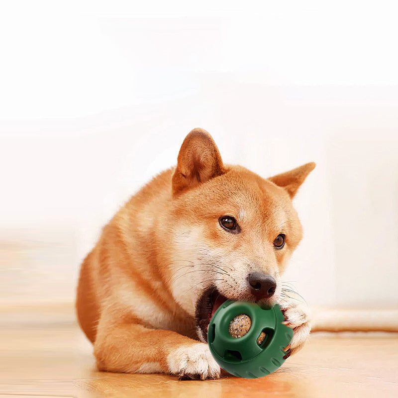 Speelgoed voor huisdierenlekkage