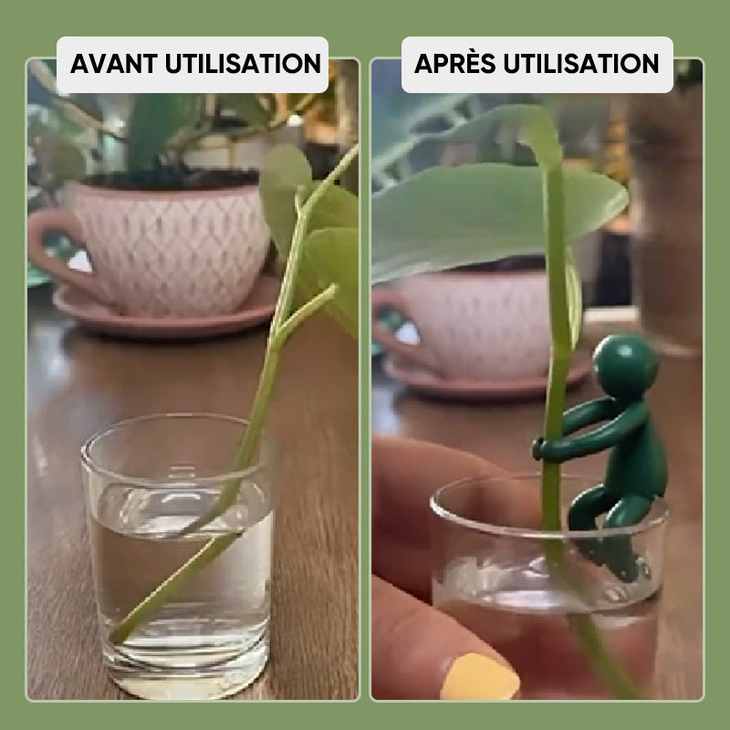 Ami de la propagation des plantes