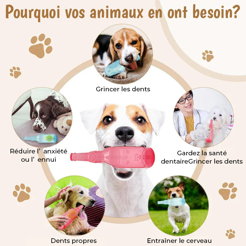 Jouet bouteille pour animaux de compagnie