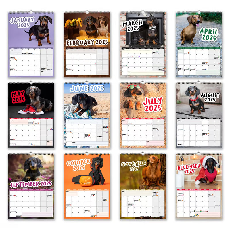 Cheeky Dachshunds - Wandkalender 2025