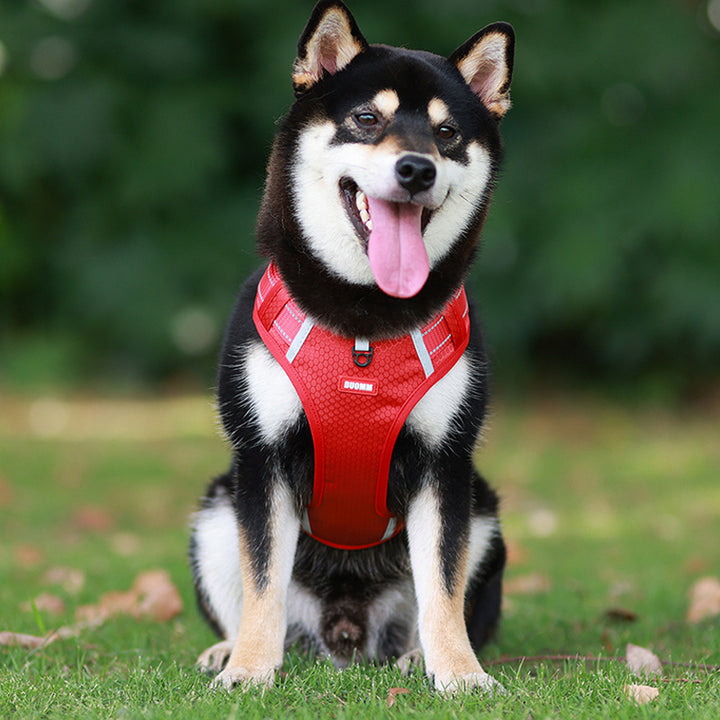 Sangle de poitrine réfléchissante pour chien