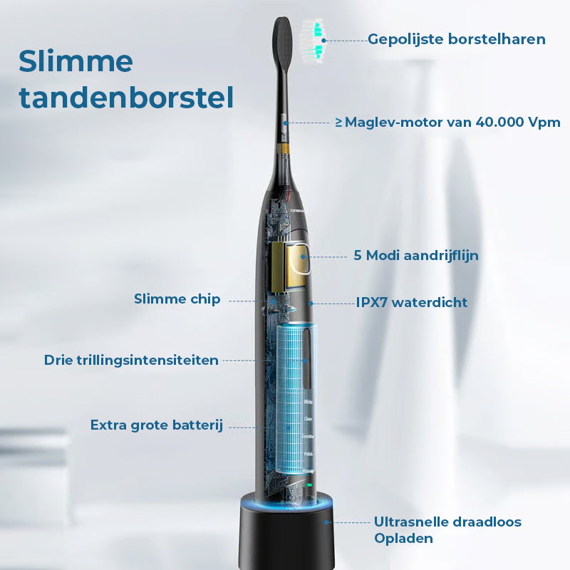 Volwassen Sonic elektrische tandenborstel