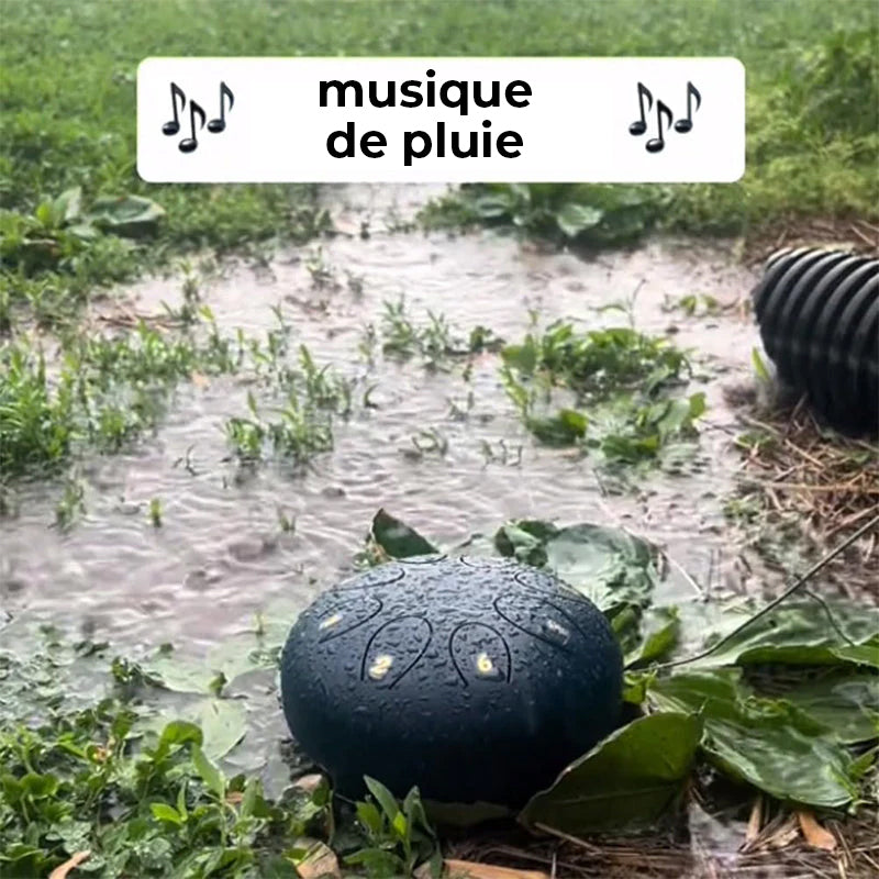 Tambour de pluie pour jardin extérieur avec The Fingerstalls (partition anglaise)