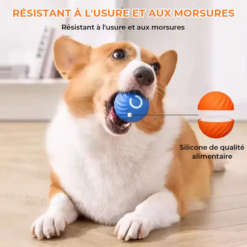 Balle automatique intelligente pour chien qui ne peut pas être mordue