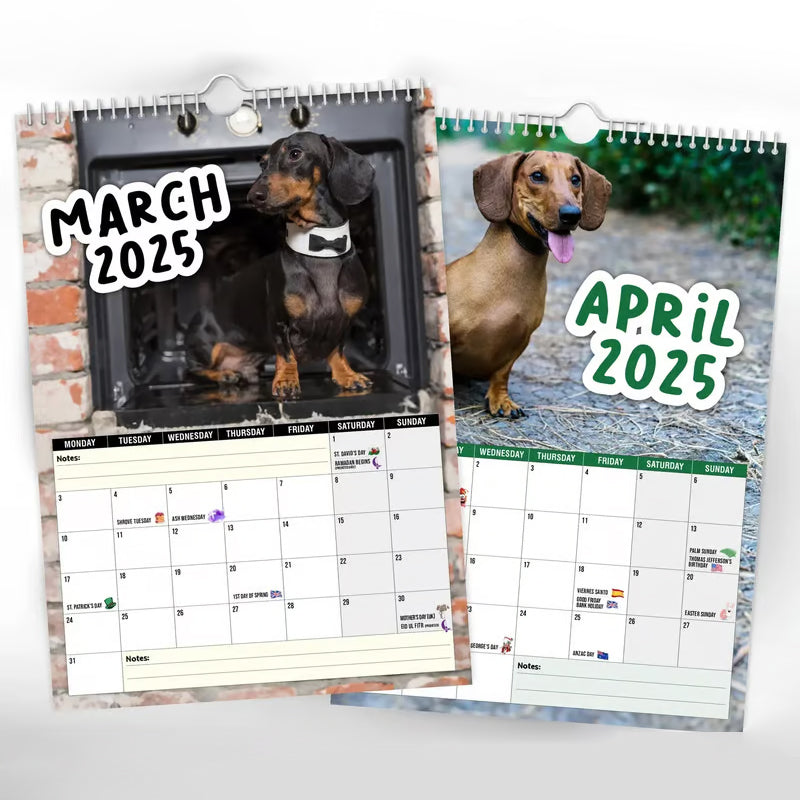 Cheeky Dachshunds - Wandkalender 2025