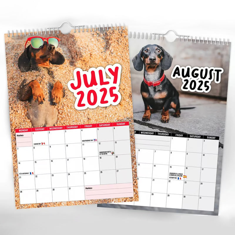 Cheeky Dachshunds - Wandkalender 2025