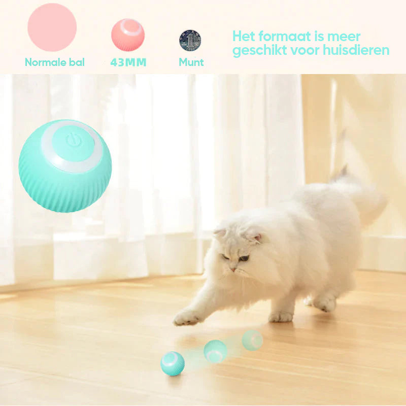 【GROTE UITVERKOOP】Slimme Katten Interactieve Bal Speelgoed