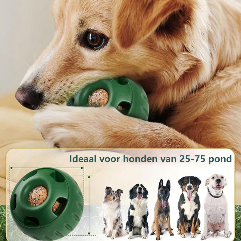 Speelgoed voor huisdierenlekkage