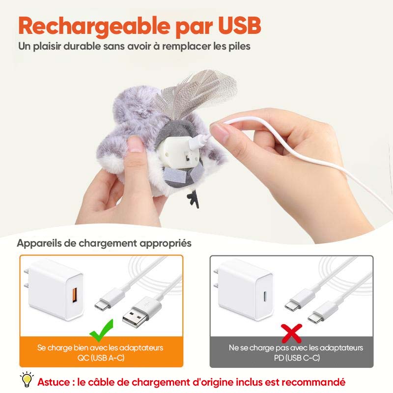 Jouets d'exercice rechargeables et interactifs pour chat, oiseau réaliste