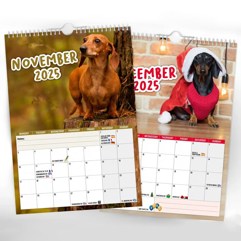 Cheeky Dachshunds - Wandkalender 2025