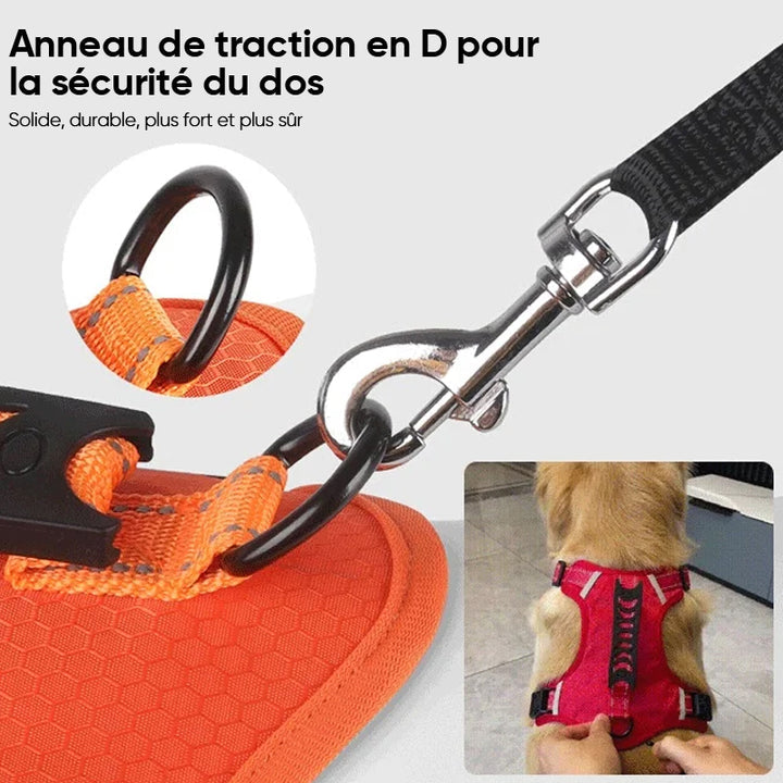 Sangle de poitrine réfléchissante pour chien