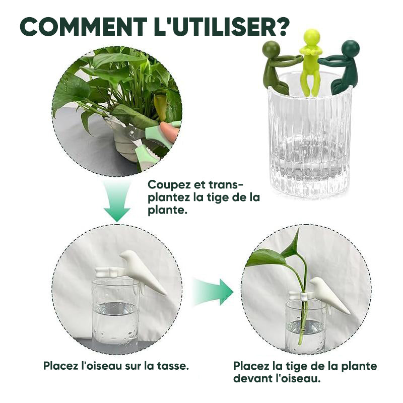 Ami de la propagation des plantes