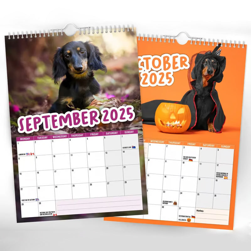 Cheeky Dachshunds - Wandkalender 2025