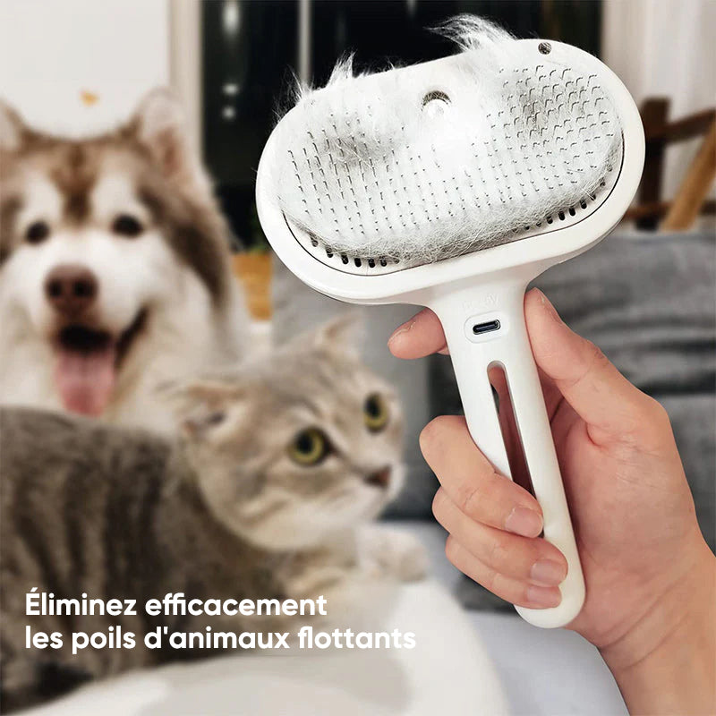 Brosse à chat vaporisateur