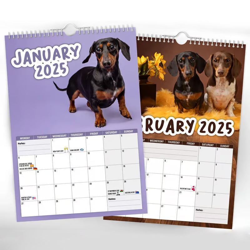 Cheeky Dachshunds - Wandkalender 2025