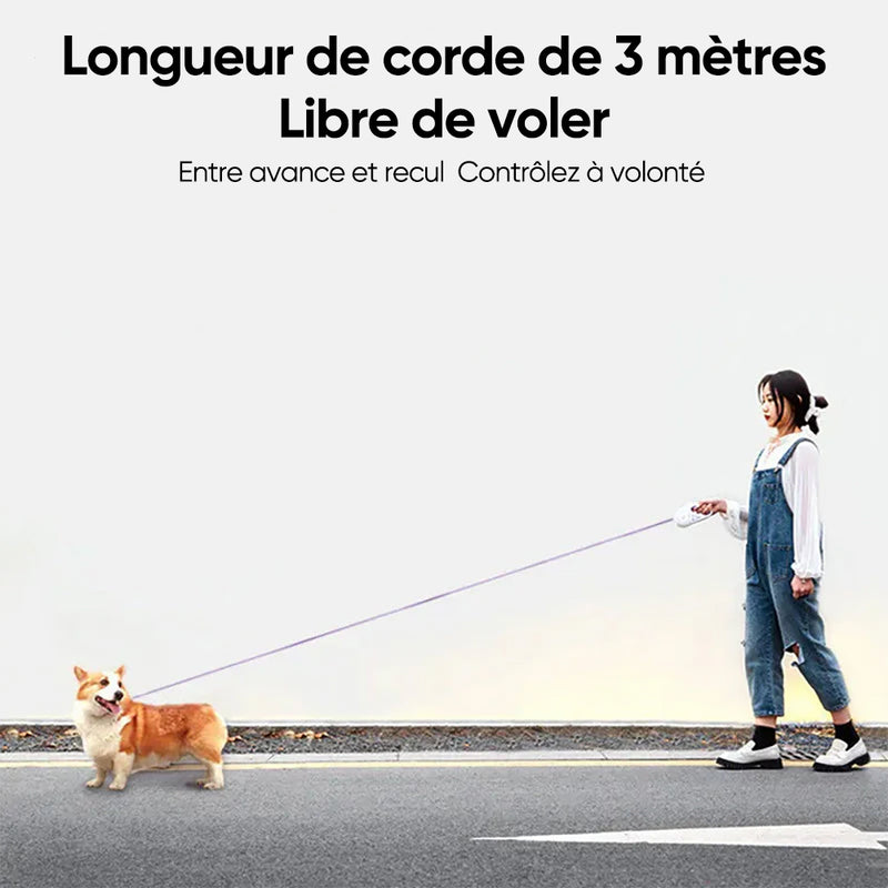 Laisse lumineuse pour chien