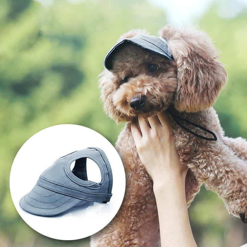 Casquette de baseball pour chien et chat, sortie en plein air