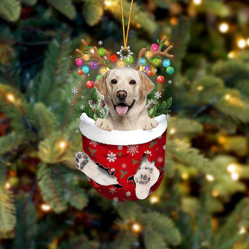 Ornement de Chien Mignon en Forme de Chaussette de Noël