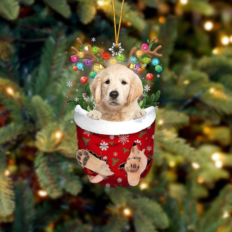 Ornement de Chien Mignon en Forme de Chaussette de Noël