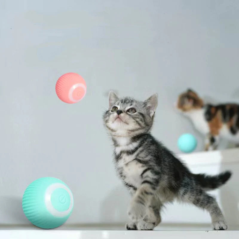 【GROTE UITVERKOOP】Slimme Katten Interactieve Bal Speelgoed