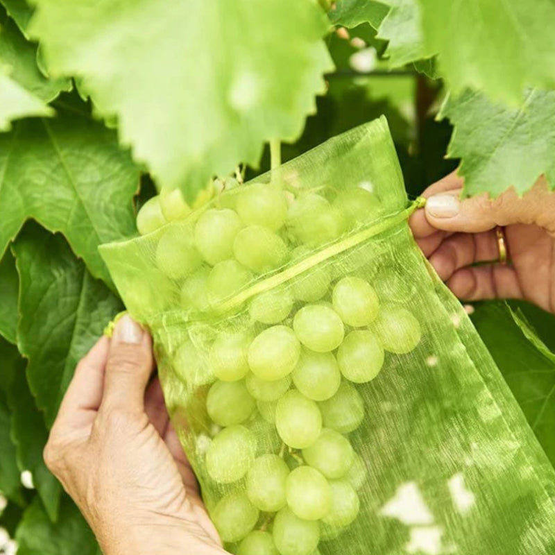 Sac de protection pour fruits (100 pièces)