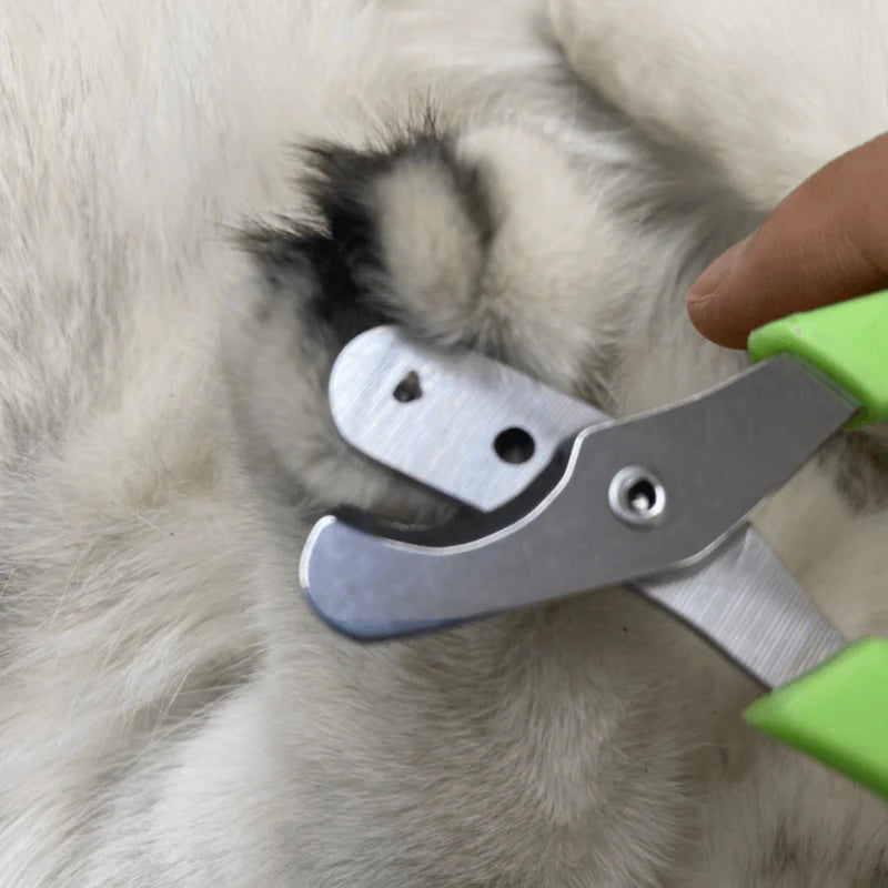 🐾Moeiteloze nagelknipper voor huisdieren