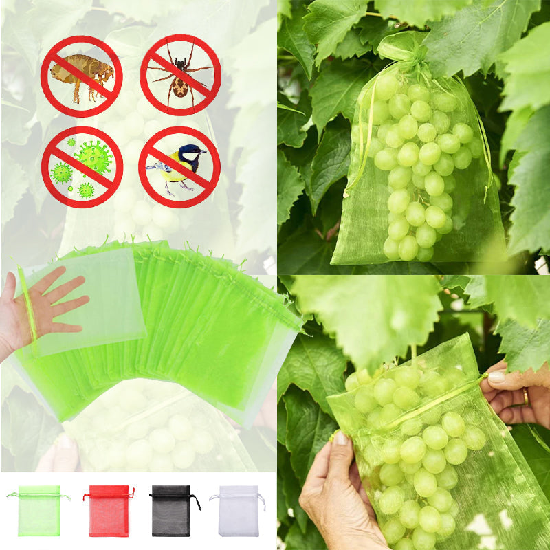 Sac de protection pour fruits (100 pièces)