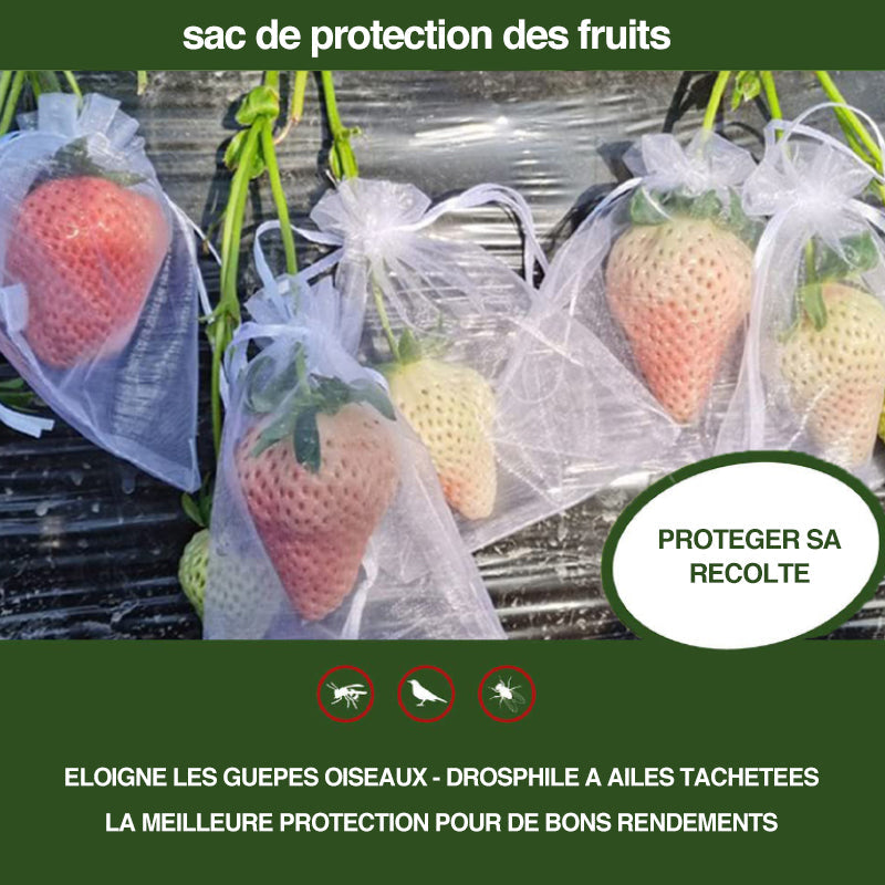 Sac de protection pour fruits (100 pièces)