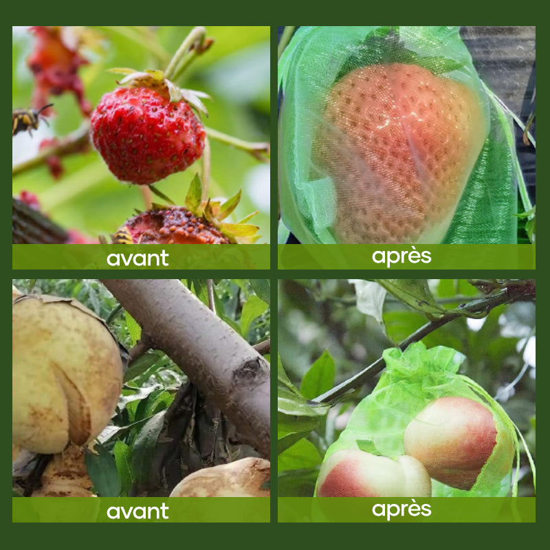 Sac de protection pour fruits (100 pièces)