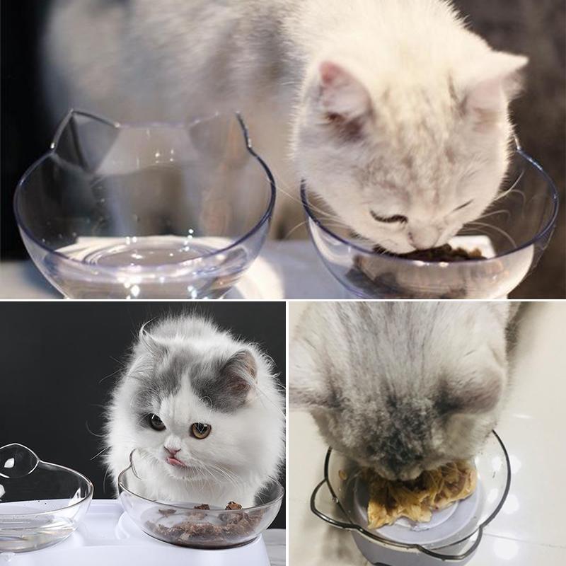 Bol à Nourriture pour Chats