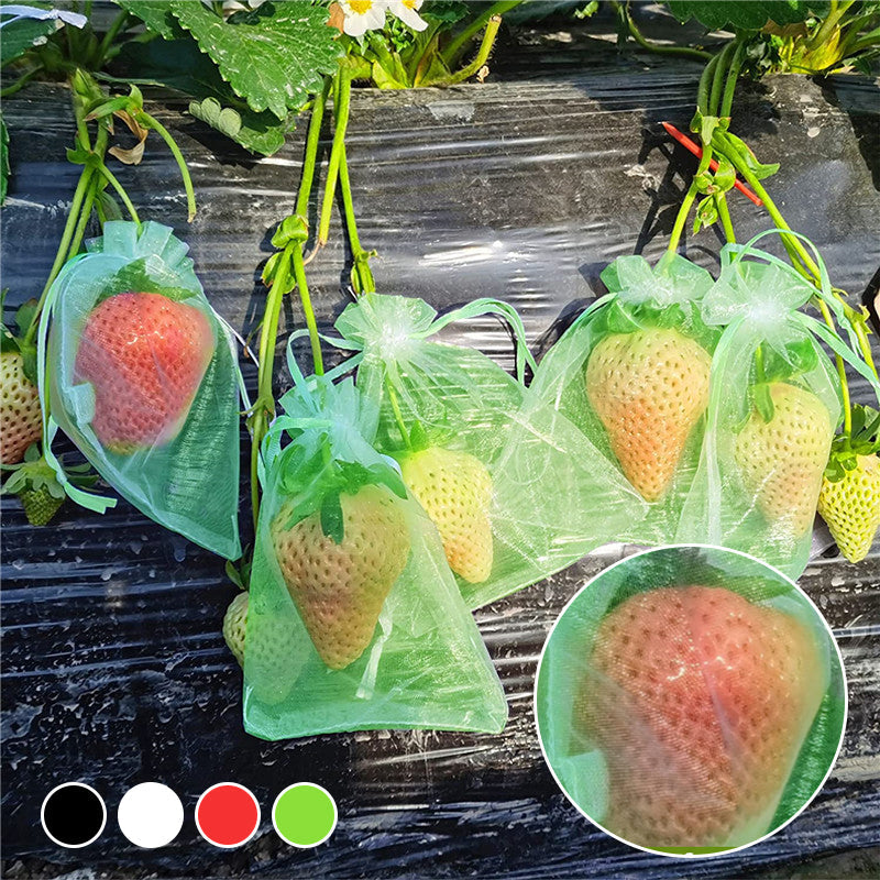 Sac de protection pour fruits (100 pièces)